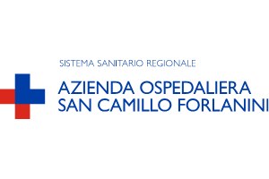 centri di terapia intensiva - Azienda Ospedaliera San Camillo Forlanini