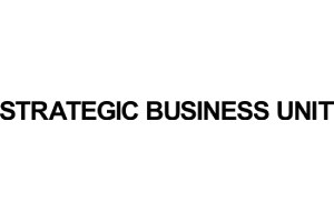 Strategic Business Unit (SBU)