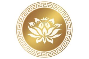 centri yoga - Zem Yoga Studio Roma