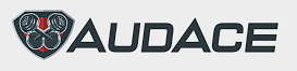 Audace Palestre
