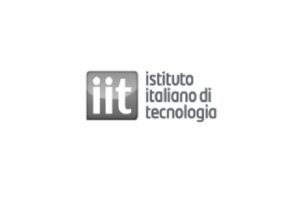 Istituto Italiano di Tecnologia (IIT)