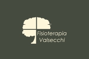 logo Fisioterapia Valsecchi