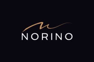 saloni di parrucchieri per extension - logo Norino