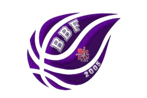 club basket in Italia - club basket in Italia - Baloncesto Basket Firenze logo