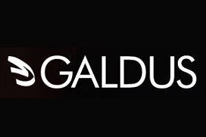 Galdus Formazione logo