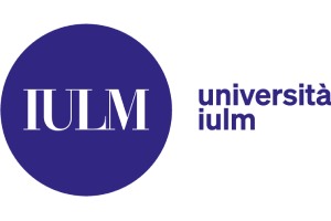 scuole di commercio digitale - Università IULM