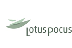 club di yoga per principianti - Lotus Pocus