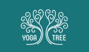 club di yoga per principianti - Yoga Tree